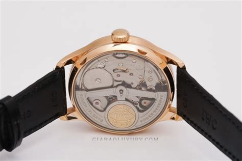 gia bảo đồng hồ iwc.